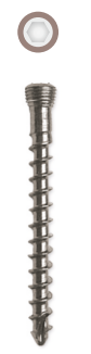Locking Head Screw