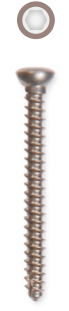 Locking Head Screw