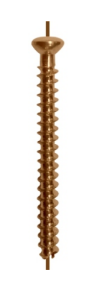 Cannulated Screw