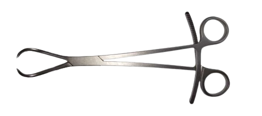 Large Fragment Instrument Set Supplier in India