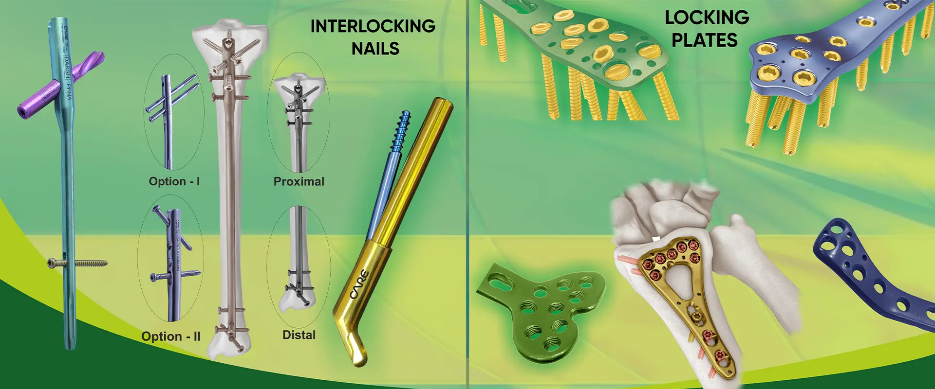 Ortho Care Manufacturer in Delhi