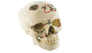 Maxillofacial Manufacturer in India