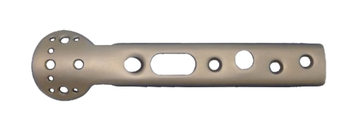 Trochanteric Support Plate